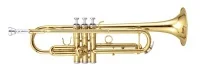 Духовий інструмент MAXTONE TTC60L2 (TTC234L) труба