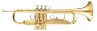 Труба Maxtone TTC30L (TTC1C)